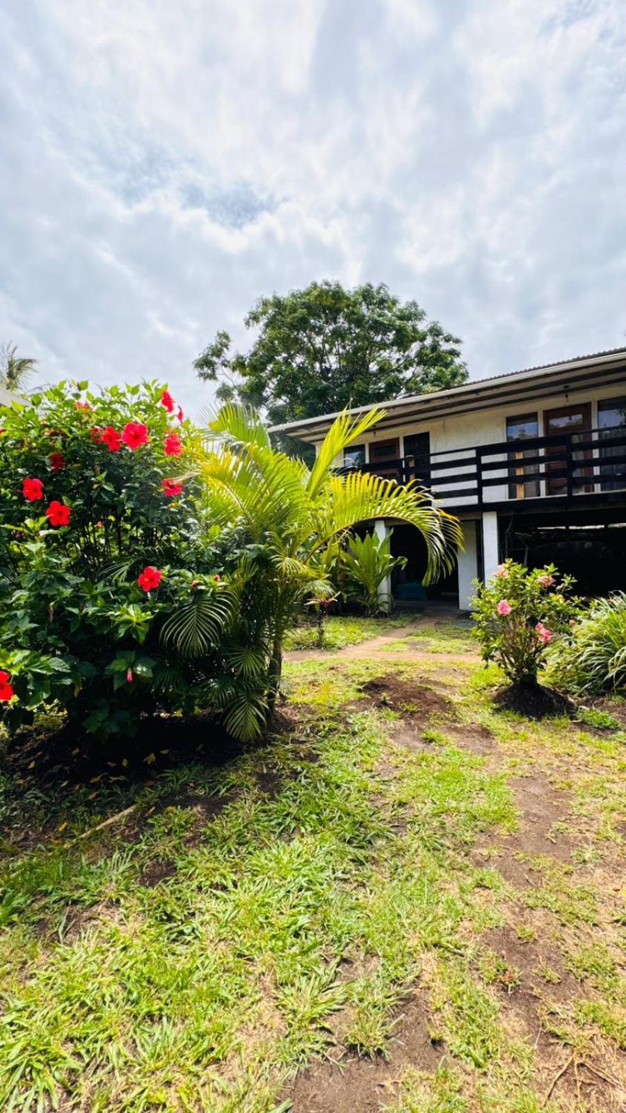 Mata Nui Eco Hostel Hanga Roa Ngoại thất bức ảnh
