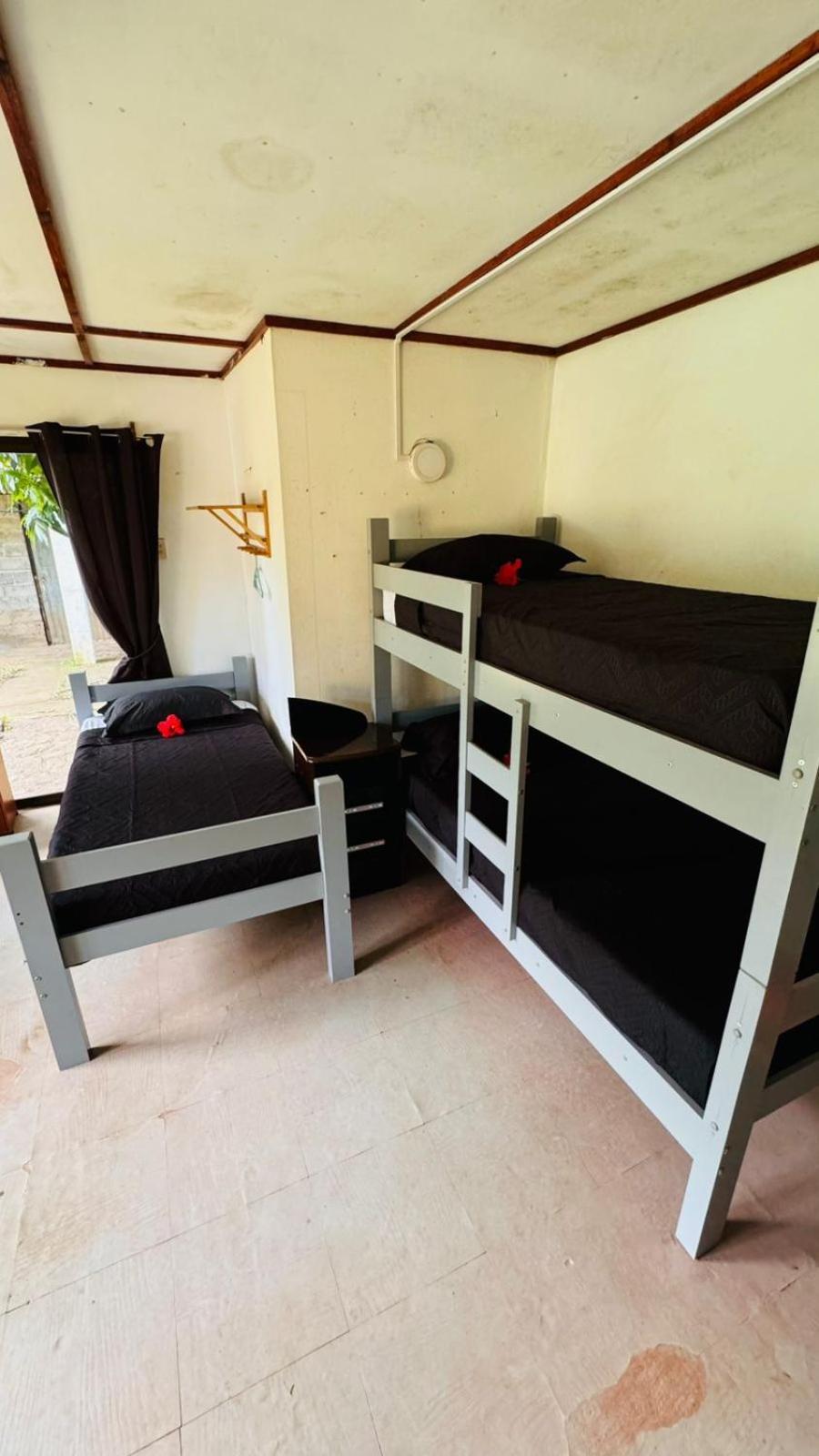 Mata Nui Eco Hostel Hanga Roa Ngoại thất bức ảnh